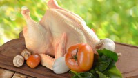 /album/comercializadora-la-paloma/pollo-entero-jpg/